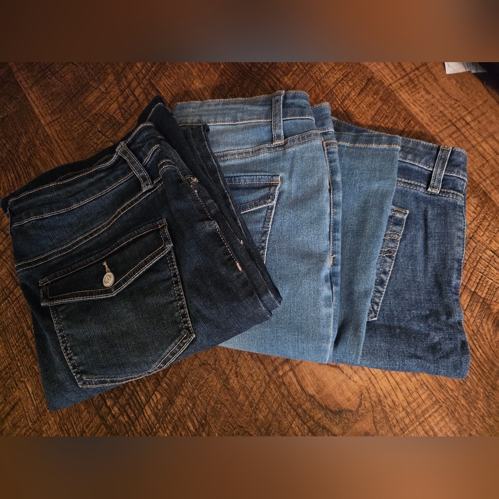 Women's Size 12 Jeans Bundle